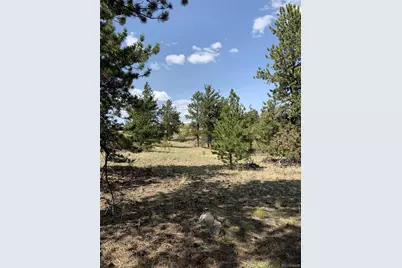 52 Bit Way, Hartsel, CO 80449 - Photo 5