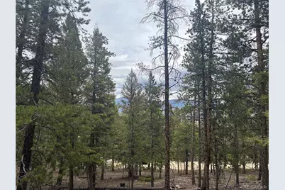 30304 Aspen Turn, Buena Vista, CO 81211 - Photo 11