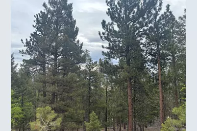 30304 Aspen Turn, Buena Vista, CO 81211 - Photo 15