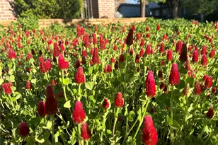 2401 S Lafayette St, Denver, CO 80210 - Photo 33