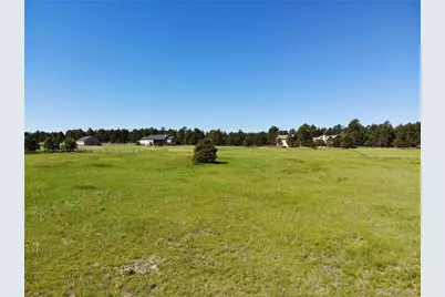 15599 Arfsten Road, Larkspur, CO 80118 - Photo 13