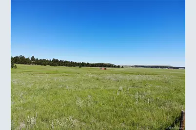 15599 Arfsten Road, Larkspur, CO 80118 - Photo 3