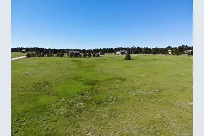 15599 Arfsten Road, Larkspur, CO 80118 - Photo 23