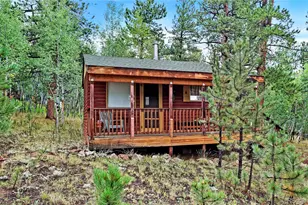 109 Wolf, Bailey, CO 80421 - Photo 1