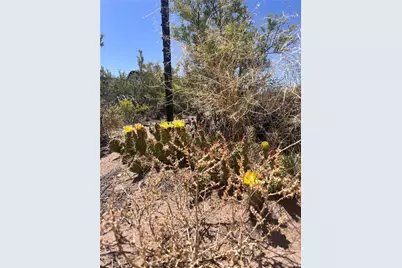 015 Wild Horse Ranch #15, Alamosa, CO 81101 - Photo 9