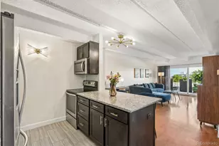 1265 Race St, Denver, CO 80206 - Photo 9