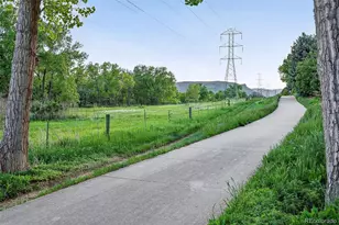 5683 Fig Way, Arvada, CO 80002 - Photo 43