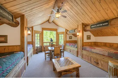 250 Buckeye Creek Road, Leadville, CO 80461 - Photo 29