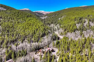 250 Buckeye Crk Rd, Leadville, CO 80461 - Photo 43