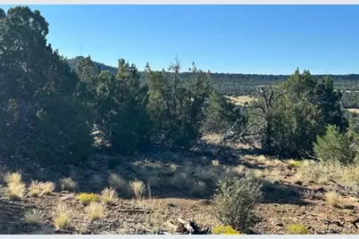 Lot 12 City Ranch Property, Walsenburg, CO 81089 - Photo 7