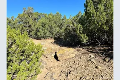 Lot 12 City Ranch Property, Walsenburg, CO 81089 - Photo 19