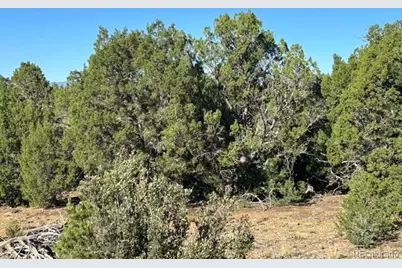 Lot 12 City Ranch Property, Walsenburg, CO 81089 - Photo 5