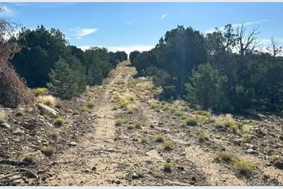 Lot 12 City Ranch Property, Walsenburg, CO 81089 - Photo 13