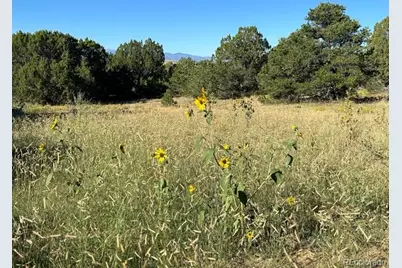 Lot 12 City Ranch Property, Walsenburg, CO 81089 - Photo 21