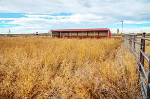 29500 State Hwy 52, Keenesburg, CO 80643 - Photo 15