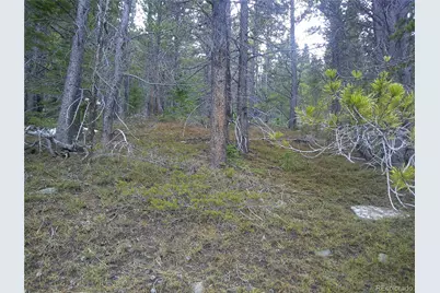 Lot 417 Glory Hole Road, Idaho Springs, CO 80452 - Photo 3