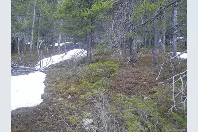 Lot 417 Glory Hole Road, Idaho Springs, CO 80452 - Photo 5