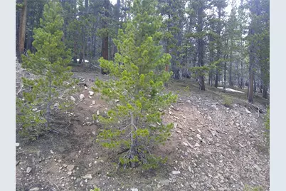 Lot 417 Glory Hole Road, Idaho Springs, CO 80452 - Photo 1