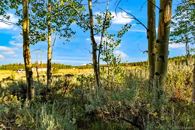 Coil Drive, Fairplay, CO 80440 - Photo 31