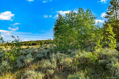 Coil Drive, Fairplay, CO 80440 - Photo 19