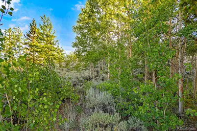 Coil Drive, Fairplay, CO 80440 - Photo 21