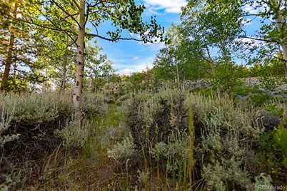 Coil Drive, Fairplay, CO 80440 - Photo 23