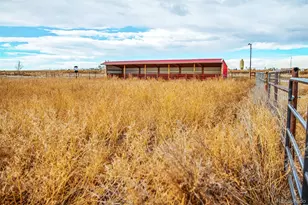 29500 Hwy 52, Keenesburg, CO 80643 - Photo 47