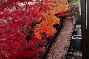 2973 Breezy Ln, Castle Rock, CO 80109 - Photo 49