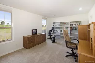 9827 Greensview Cir, Lone Tree, CO 80124 - Photo 31