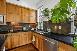 1738 N Franklin Street, Denver, CO 80218 - Photo 5