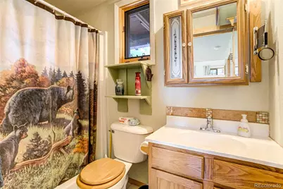 151 Old Kathleen Trail, Guffey, CO 80820 - Photo 19