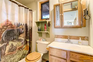 151 Old Kathleen Trail, Guffey, CO 80820 - Photo 19