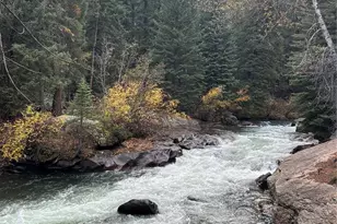 31455 Half Peak Trl, Pine, CO 80470 - Photo 49