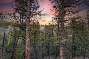 31455 Half Peak Trl, Pine, CO 80470 - Photo 13