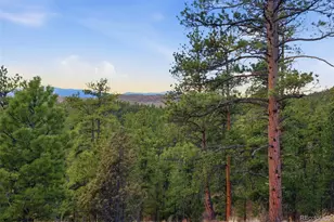 31455 Half Peak Trl, Pine, CO 80470 - Photo 43