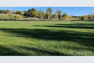 6791 Tiger Walk, Lone Tree, CO 80124 - Photo 39