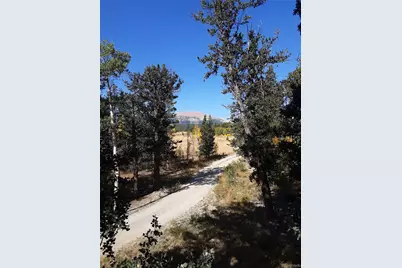 416 Foxtail Drive, Fairplay, CO 80440 - Photo 7