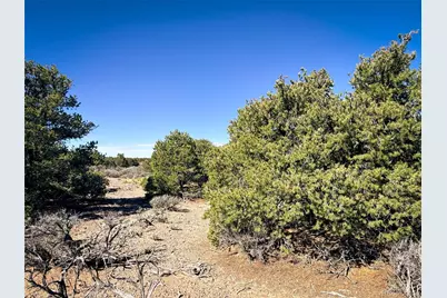 00 Overland Way, San Luis, CO 81152 - Photo 9