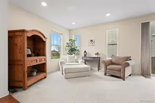 10053 Nadine Ln, Parker, CO 80134 - Photo 9