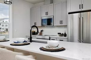 11502 Vibrato Ln, Lone Tree, CO 80134 - Photo 21