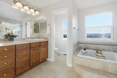 458 Crosshaven Place, Castle Rock, CO 80104 - Photo 25