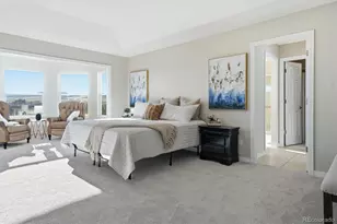 458 Crosshaven Pl, Castle Rock, CO 80104 - Photo 23