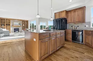 458 Crosshaven Pl, Castle Rock, CO 80104 - Photo 15