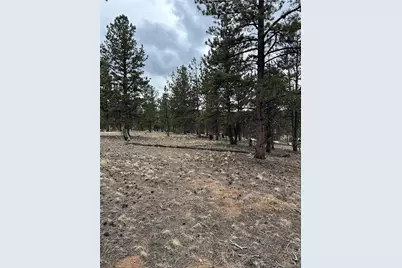 2146 Wagon Wheel Road, Hartsel, CO 80449 - Photo 19