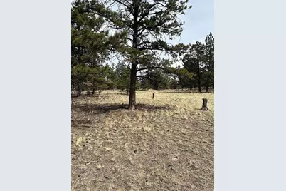 2146 Wagon Wheel Road, Hartsel, CO 80449 - Photo 3