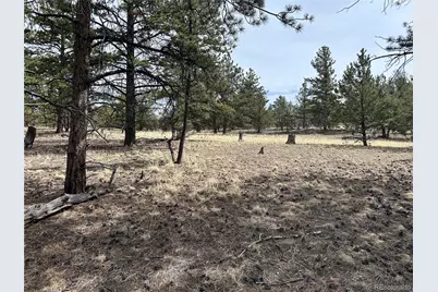 2146 Wagon Wheel Road, Hartsel, CO 80449 - Photo 1