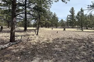 2146 Wagon Wheel Rd, Hartsel, CO 80449 - Photo 1