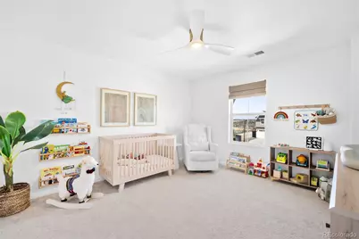 13273 Blue Amber Court, Parker, CO 80134 - Photo 31