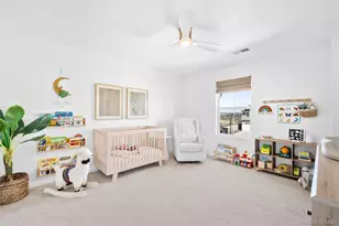 13273 Blue Amber Ct, Parker, CO 80134 - Photo 31