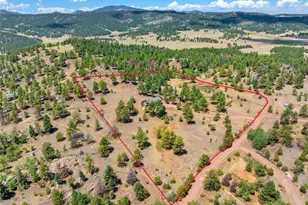 841 Plateau Dr, Guffey, CO 80820 - Photo 45